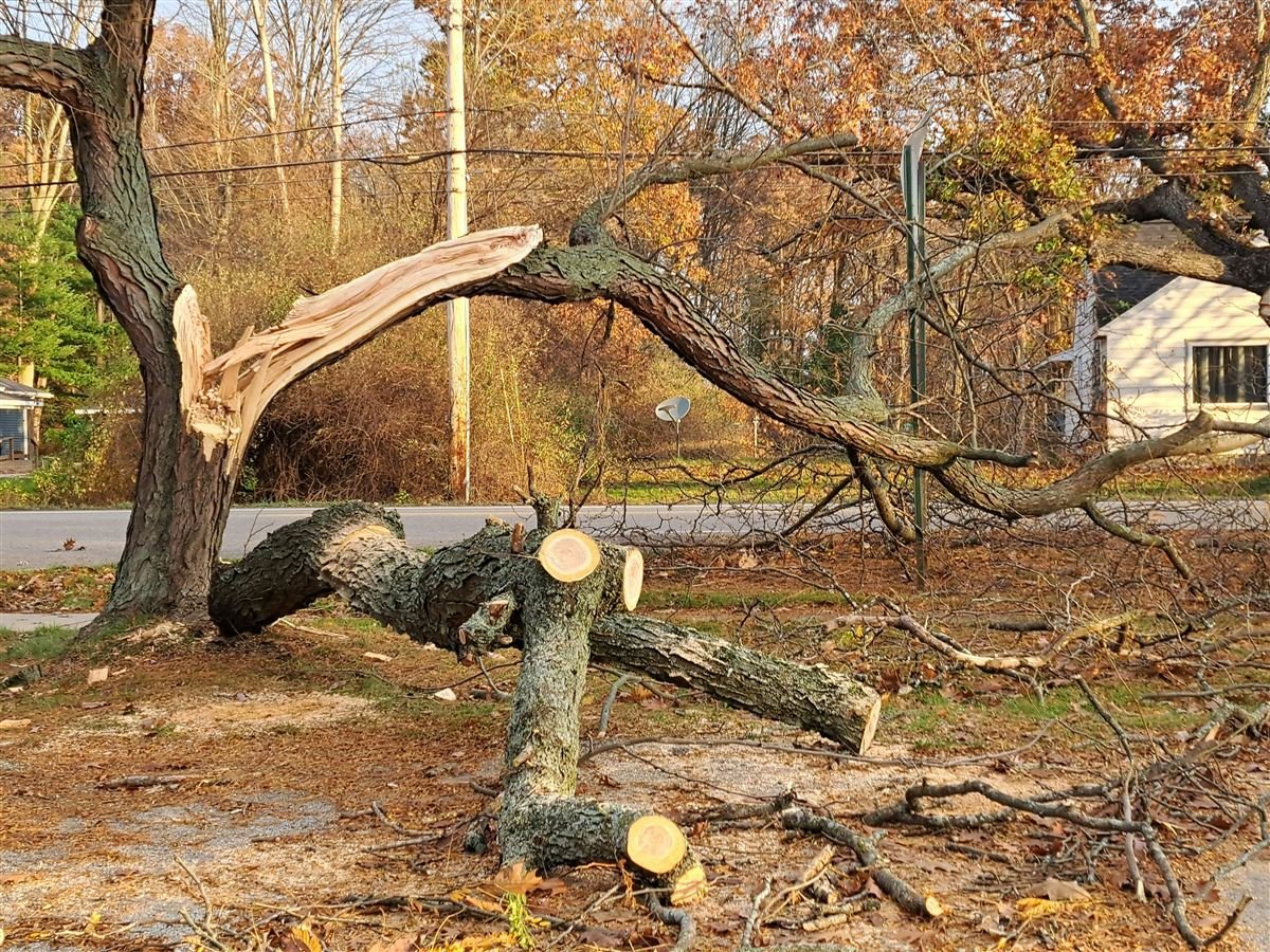 Emergency cleanup